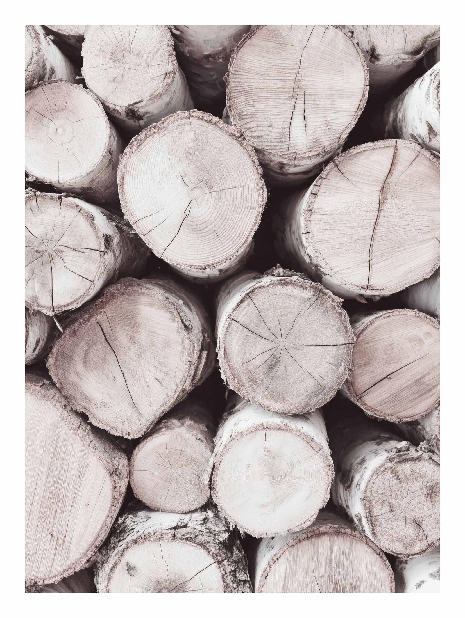 Stacked Wooden Logs