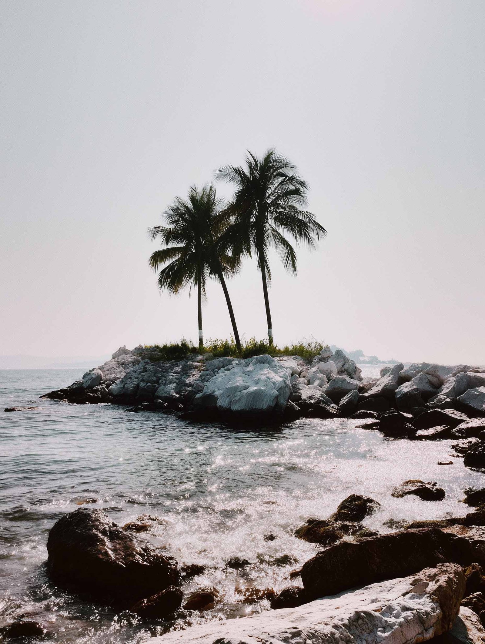 Palm Trees on Island