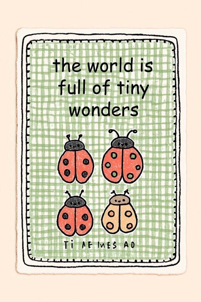 Red ladybirds and quirky text on green checks