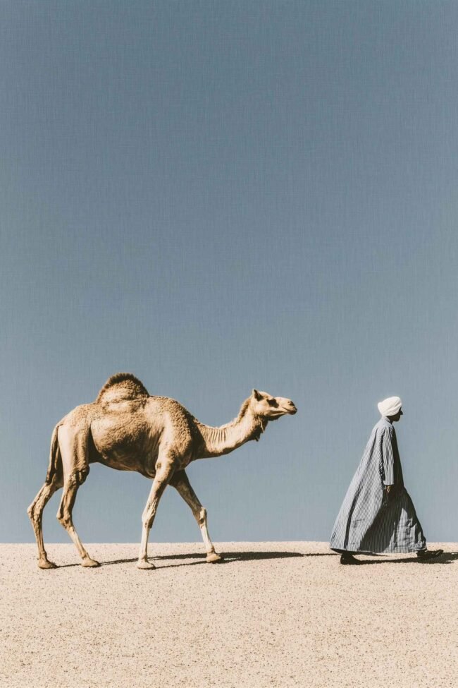 Editorial desert landscape print in soft pastel tones