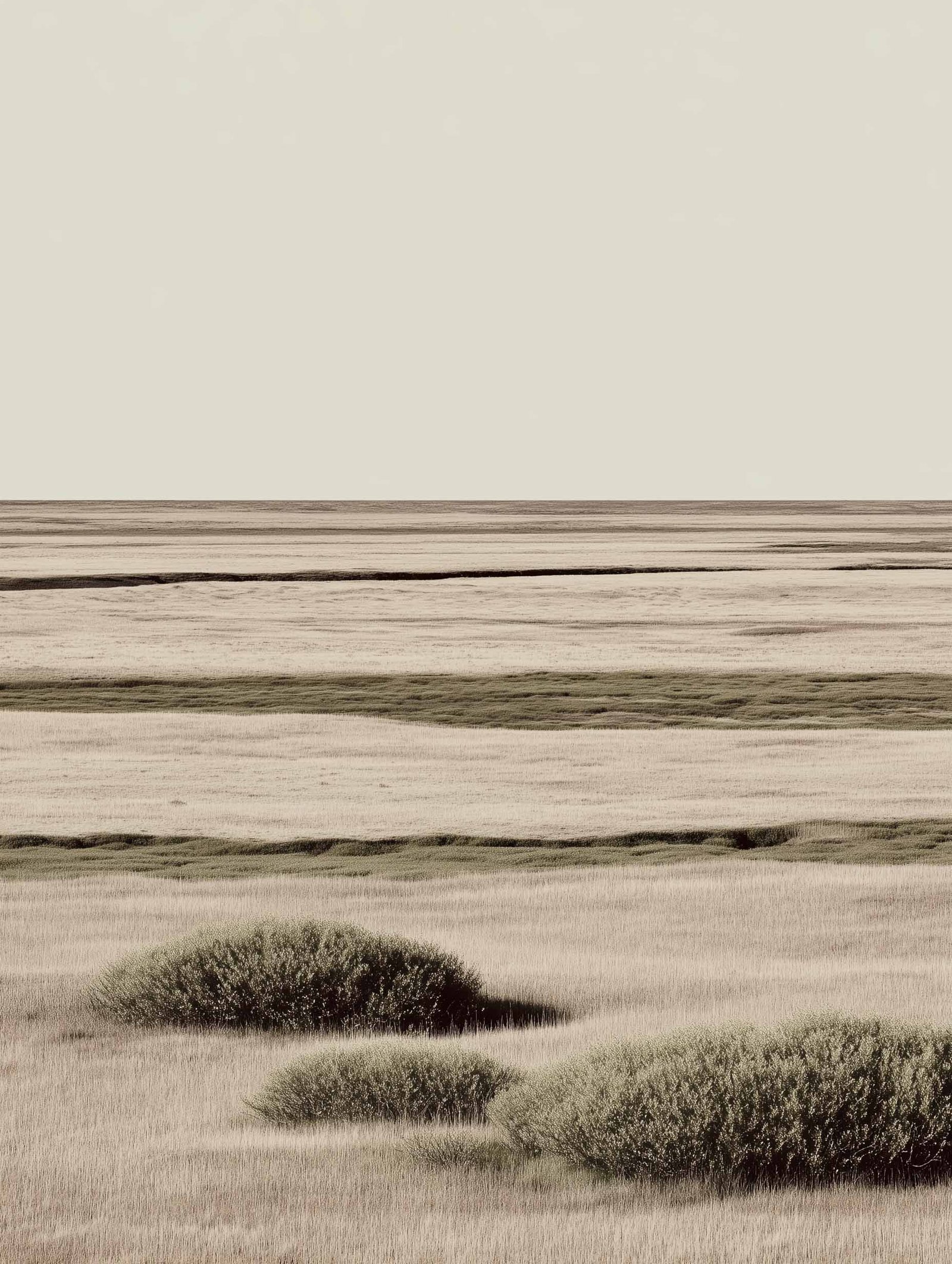 poster of an expansive beige tundra