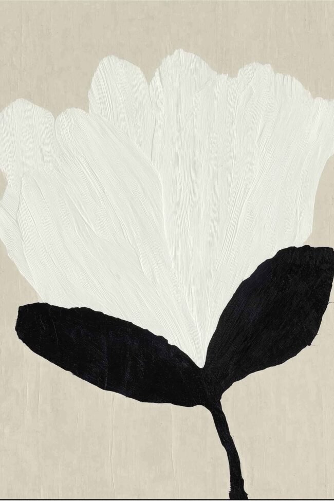 Elegant white flower illustration on neutral background