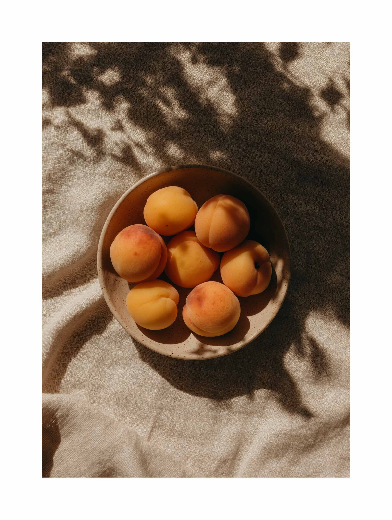 Apricots in a Bowl